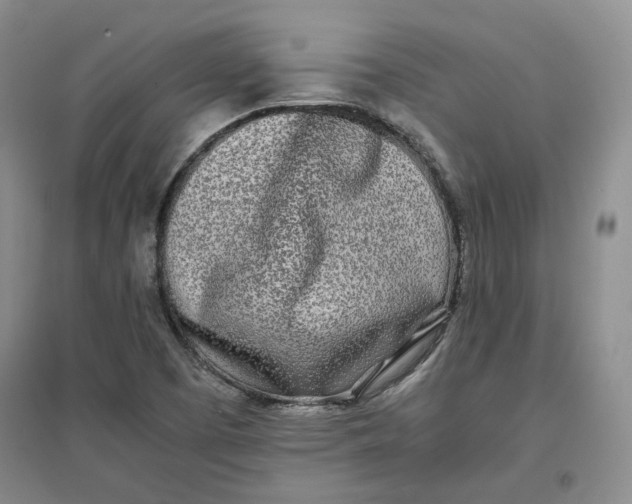 X0000096671457200802261440