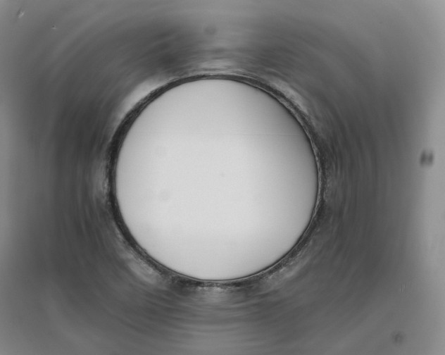 X0000096671458200802261440