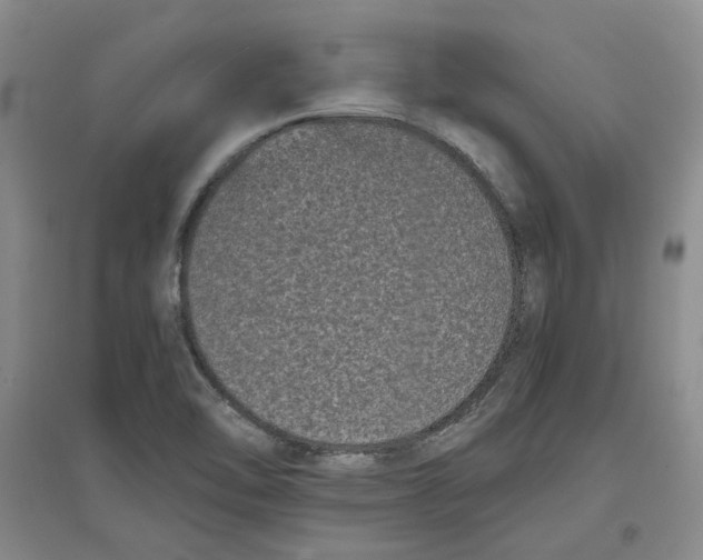 X0000096671462200802261440