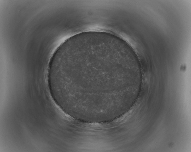 X0000096671463200802261440