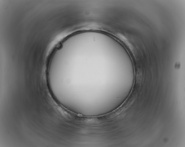 X0000096671464200802261440