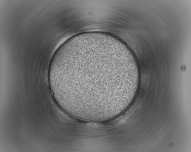 X0000096671465200802261440