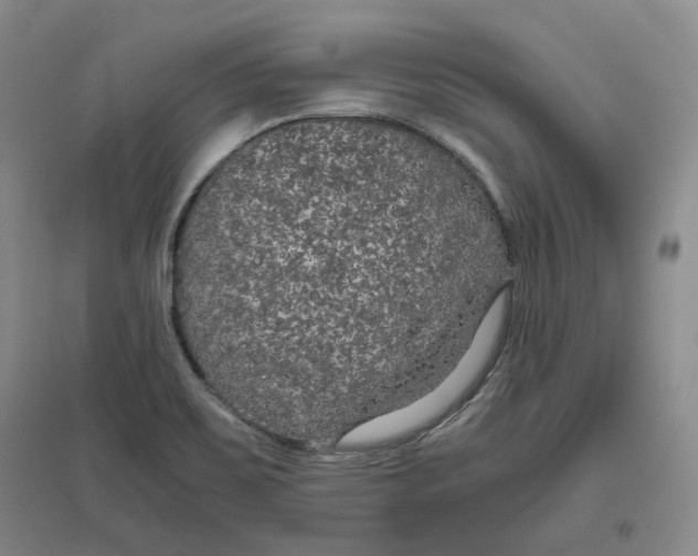 X0000096671467200802261440