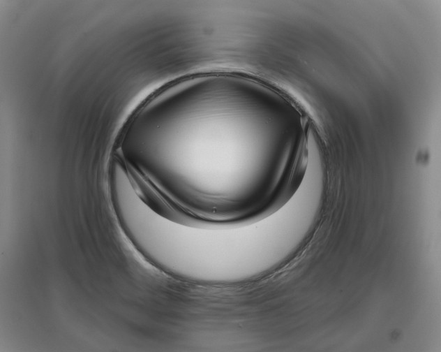 X0000096671468200802261440