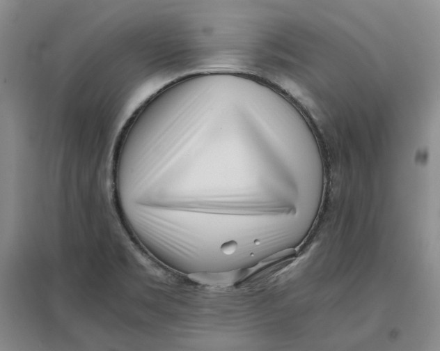 X0000096671469200802261440