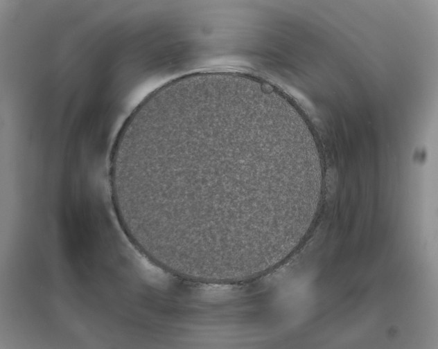 X0000096671470200802261440