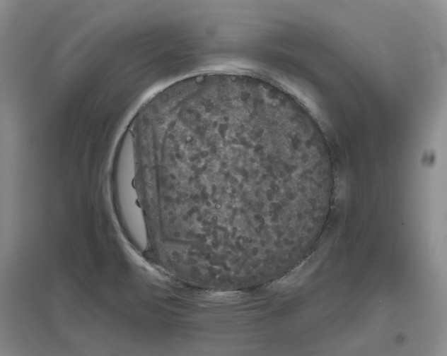 X0000096671471200802261440