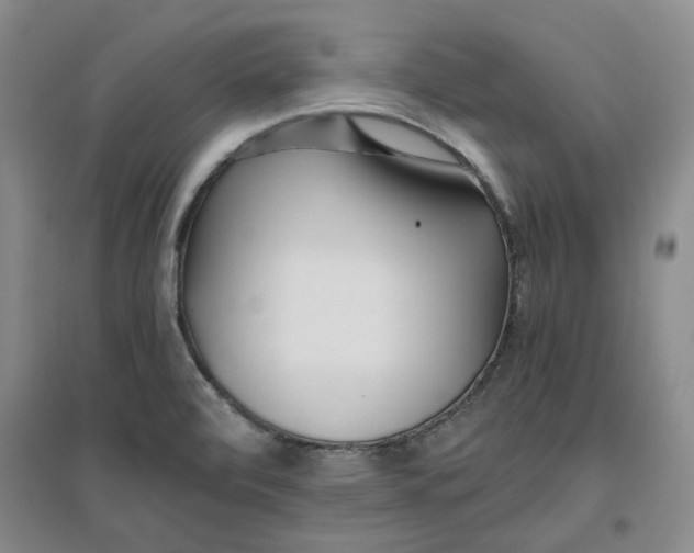 X0000096671472200802261440