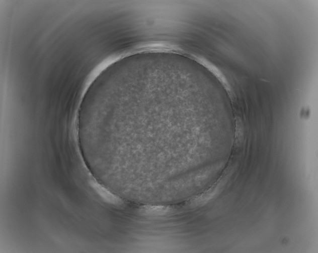 X0000096671474200802261440