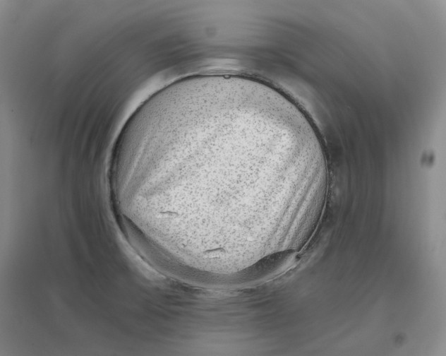 X0000096671475200802261440