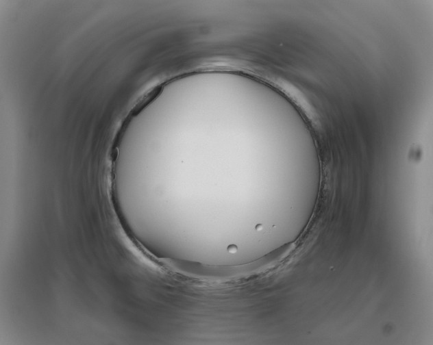 X0000096671476200802261440