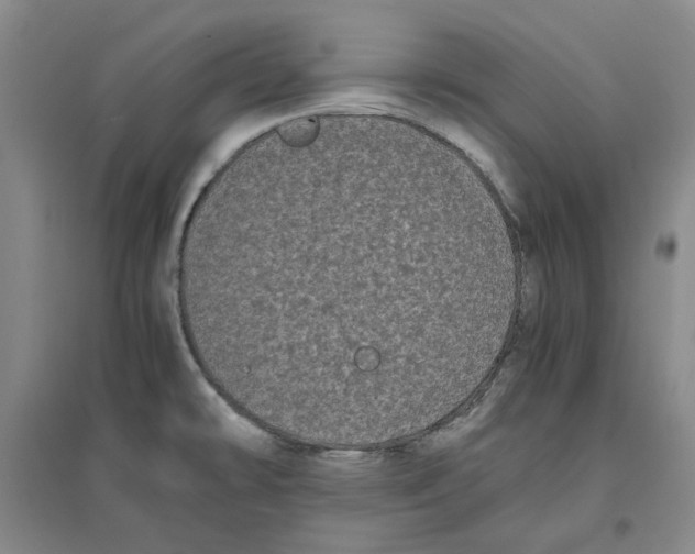 X0000096671478200802261440