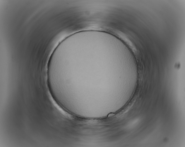 X0000096671479200802261440