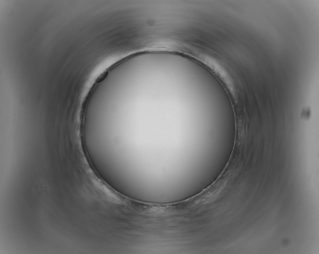 X0000096671480200802261440