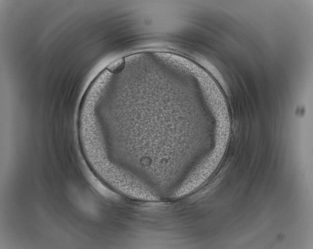 X0000096671482200802261440