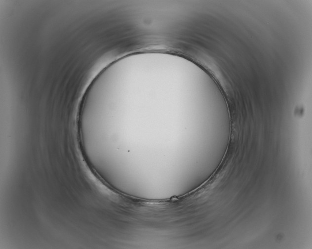 X0000096671483200802261440