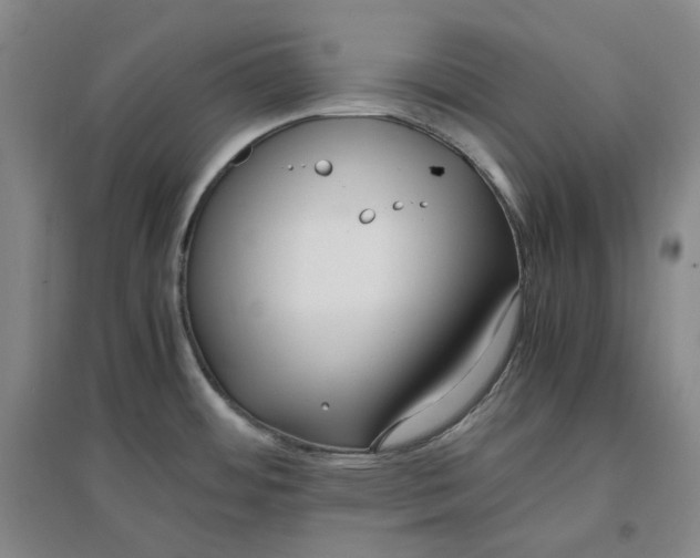 X0000096671484200802261440