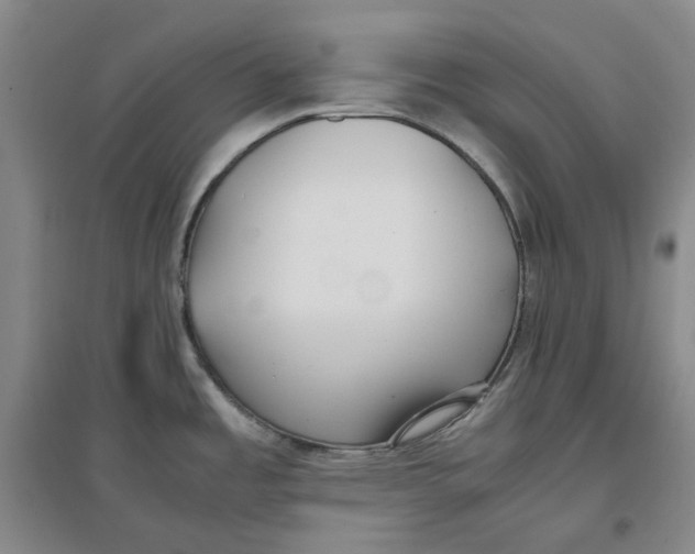 X0000096671485200802261440