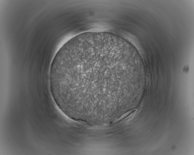 X0000096671487200802261440