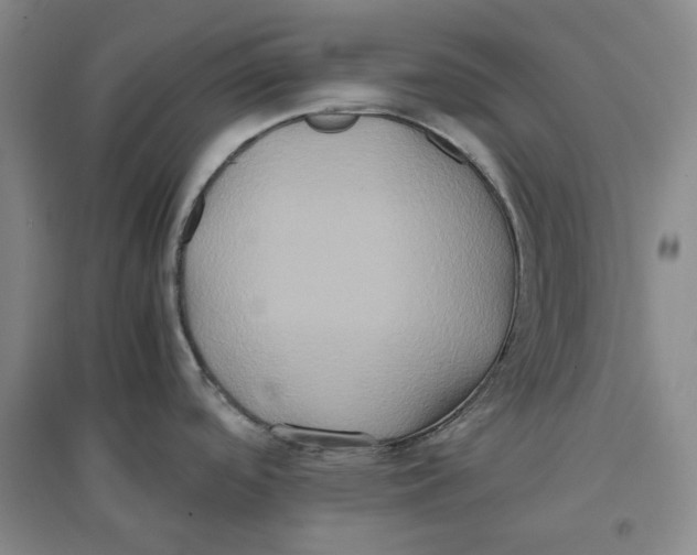 X0000096671488200802261440