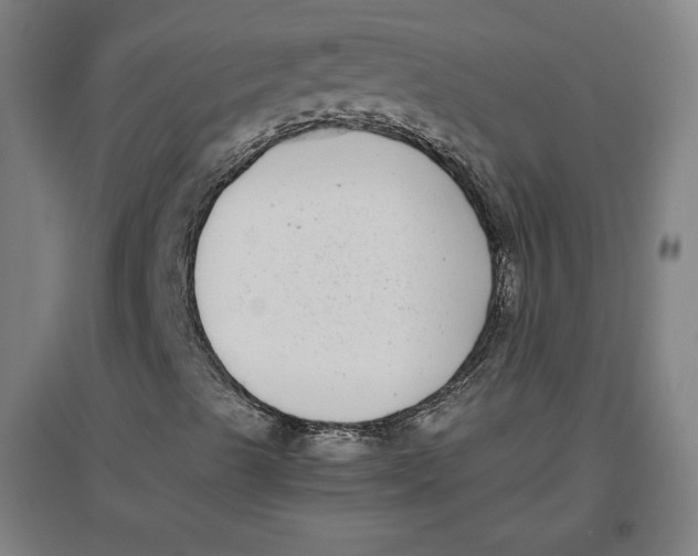 X0000096671489200802261439