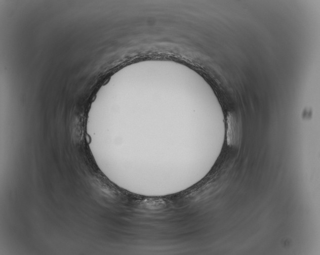 X0000096671491200802261439