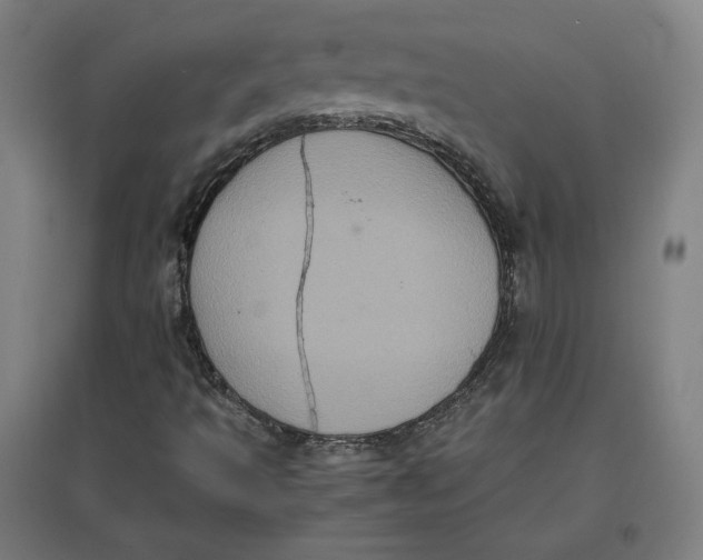 X0000096671493200802261439