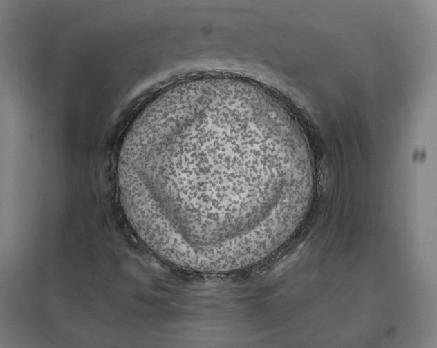 X0000096671494200802261439