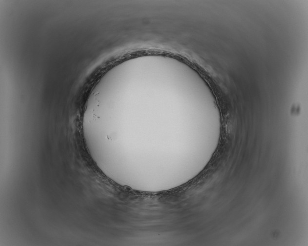 X0000096671495200802261439