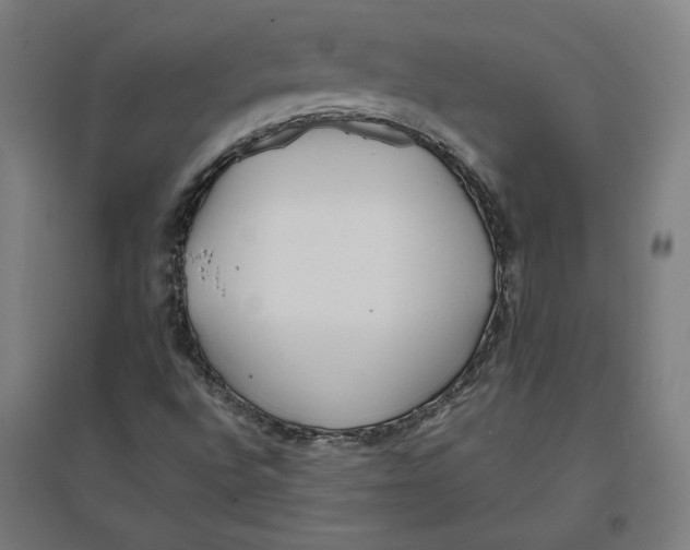 X0000096671496200802261439