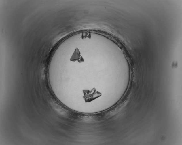 X0000096671497200802261439