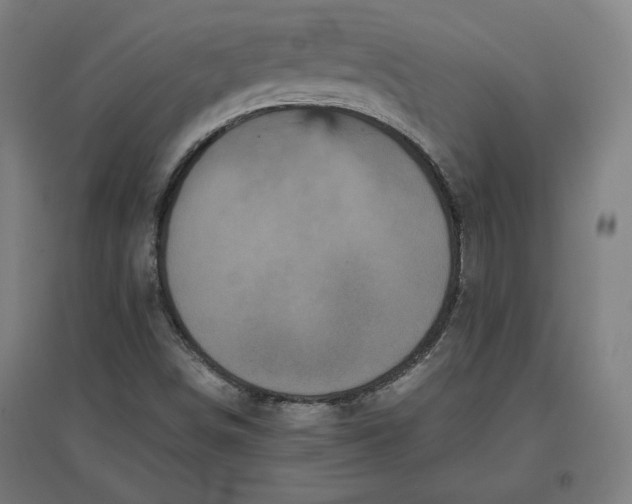 X0000096671498200802261439