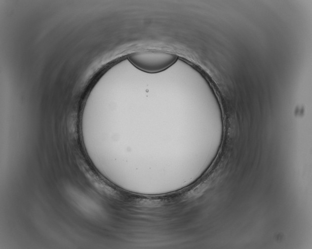 X0000096671499200802261439