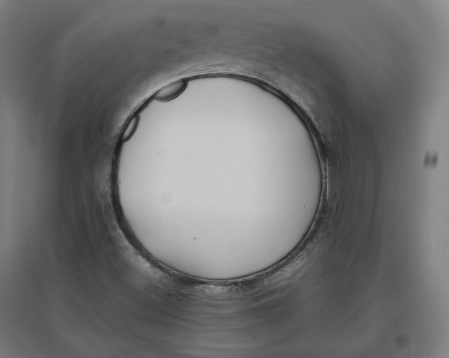 X0000096671500200802261439