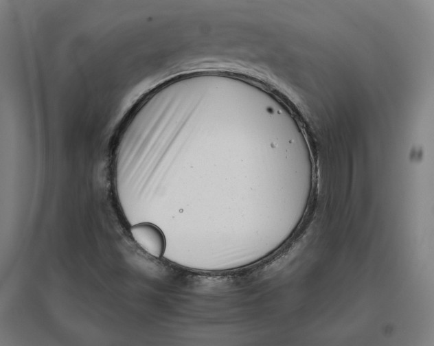 X0000096671501200802261439