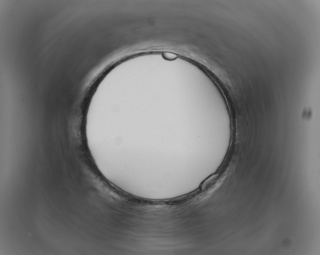 X0000096671502200802261439