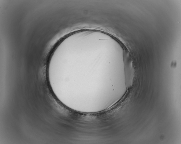 X0000096671503200802261439