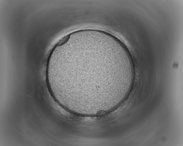 X0000096671504200802261439