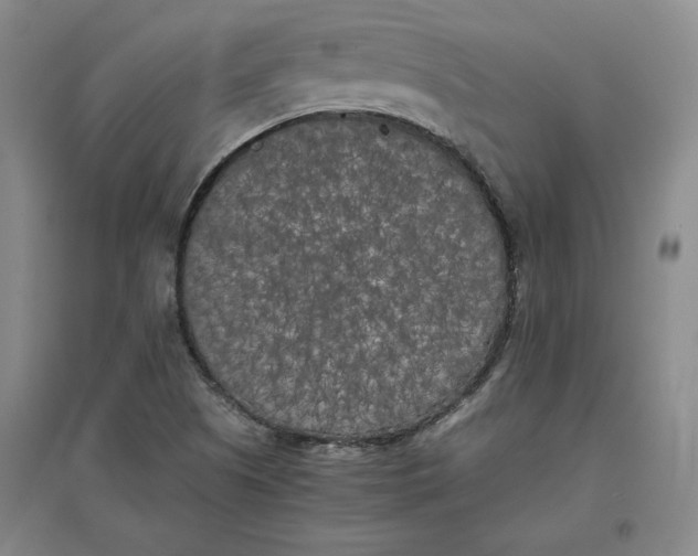 X0000096671505200802261439