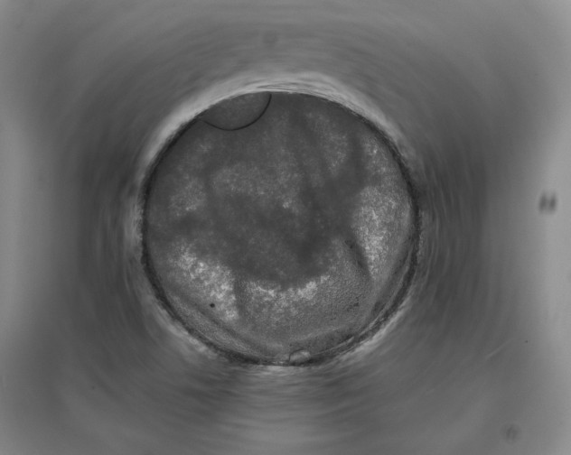 X0000096671506200802261439