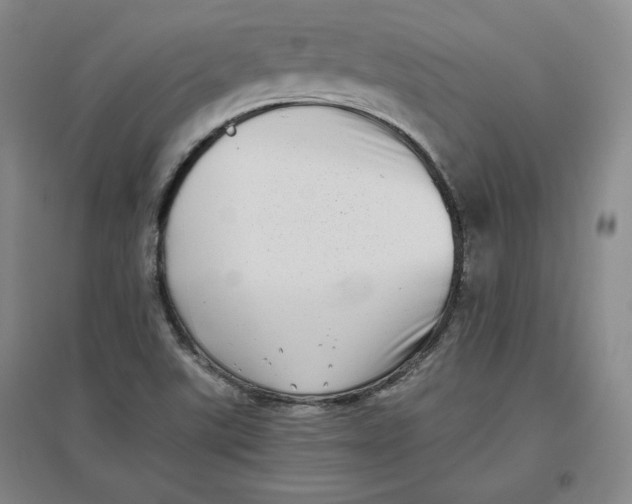 X0000096671507200802261439