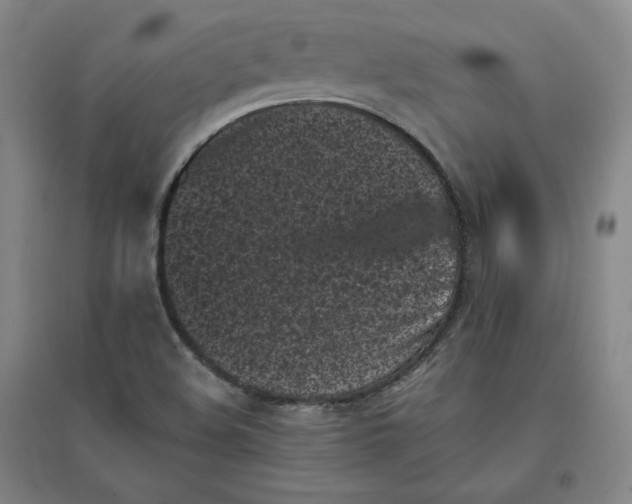 X0000096671508200802261439