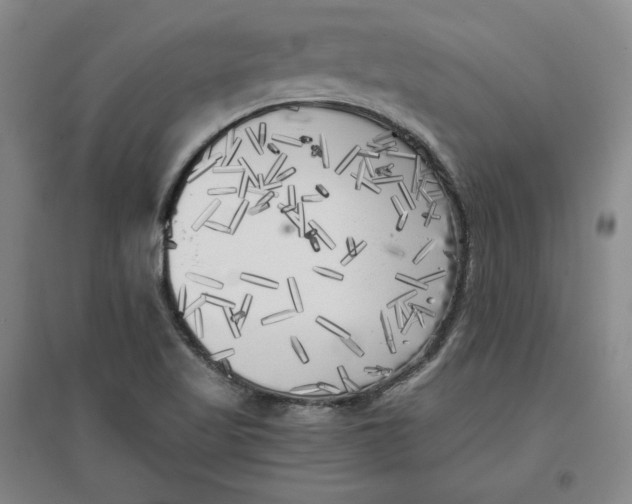 X0000096671509200802261439