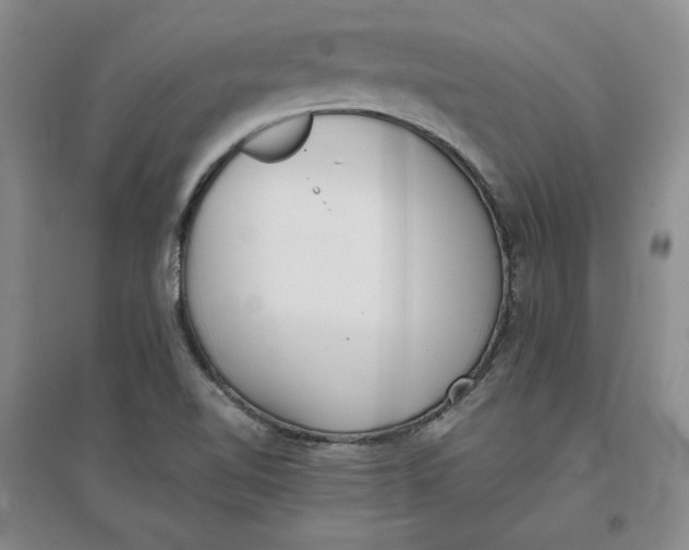 X0000096671510200802261439