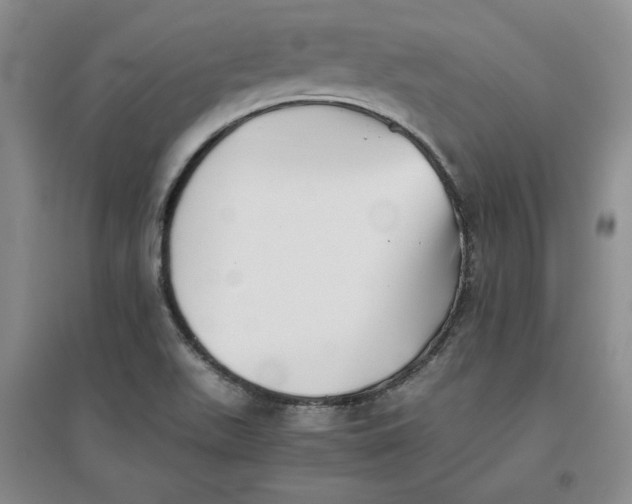 X0000096671511200802261439