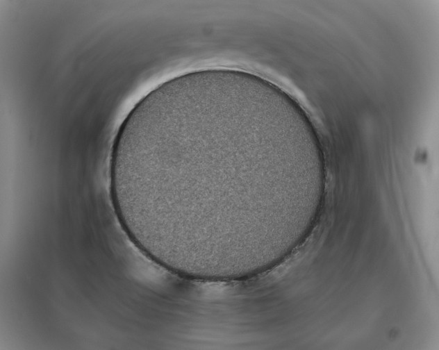 X0000096671512200802261439