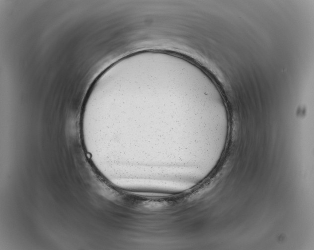 X0000096671513200802261439