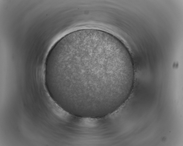 X0000096671514200802261439