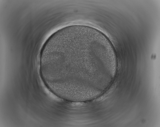 X0000096671515200802261439