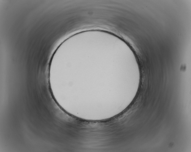 X0000096671516200802261439